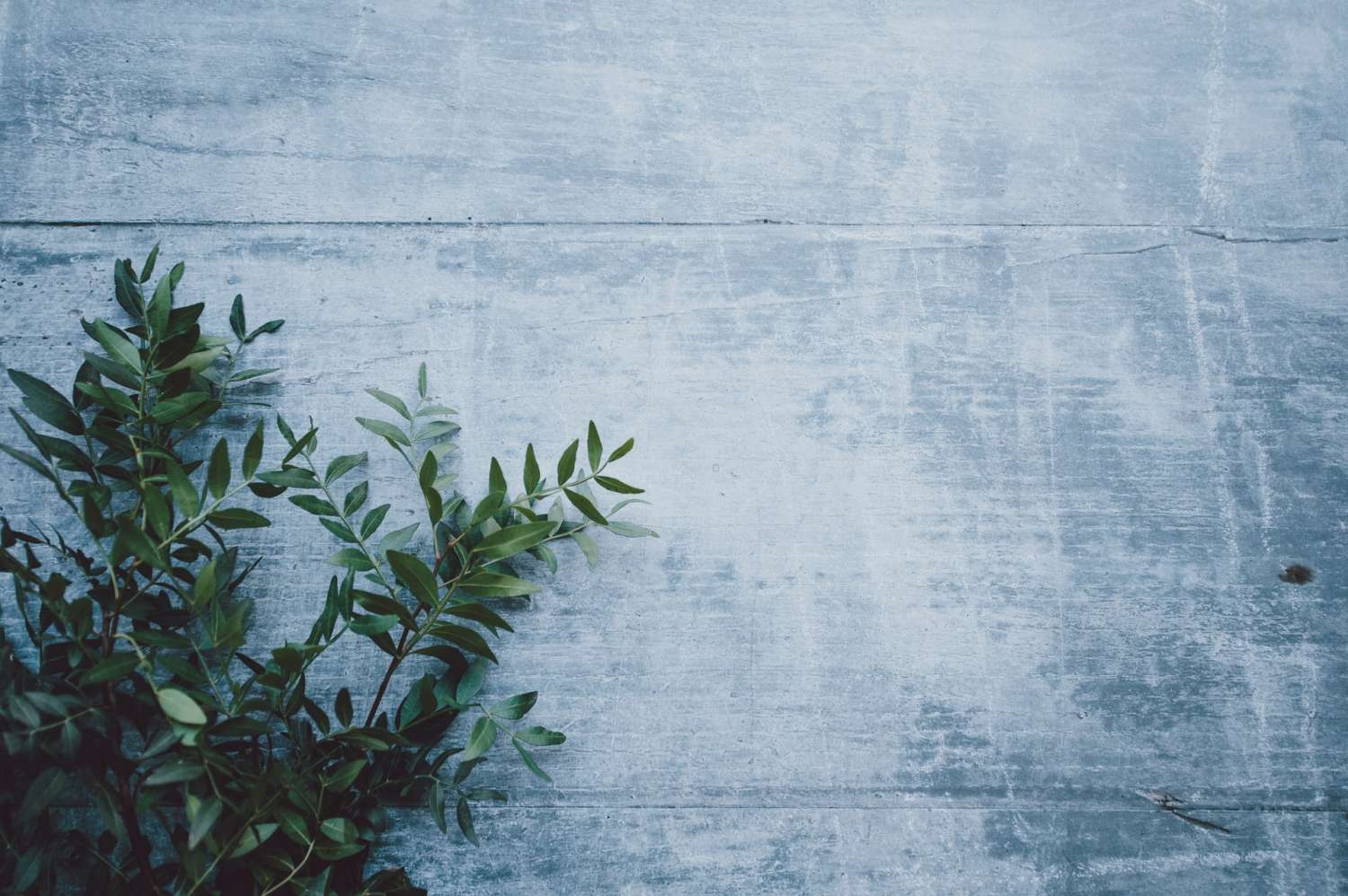 Tư vấn khu vui chơi